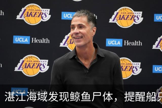 湛江海域发现鲸鱼尸体，提醒船只和人员远离以防意外